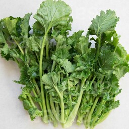 Cima di rapa